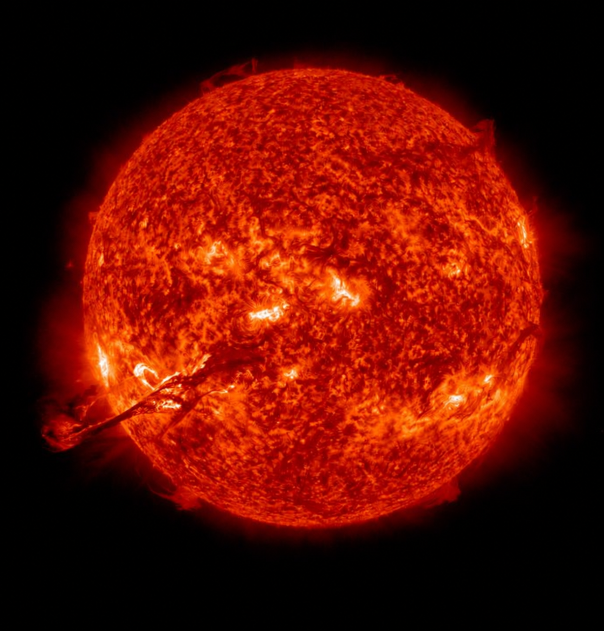 Disco solare osservato dal Solar Dynamics Observatory della NASA